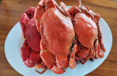 Kaynamış taş yengeç vücut geliştiricisi grubu. Açık mavi tabakta servis edilen yengeci, ev yapımı gurme restoranda pişirilen çiğ kabuklu hayvan, yemek tasarımcısı menü geçmişi.