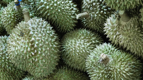 Grupa Cięcia Świeżego Duriana Worze Król Owoców Tajlandii Ulubiona Pamiątka — Zdjęcie stockowe