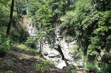 Teplice nad Becvou, Çek temsilci.