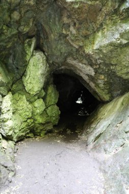 Mağarada bir delik, Çek.