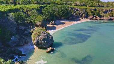 Adadaki vahşi sahil