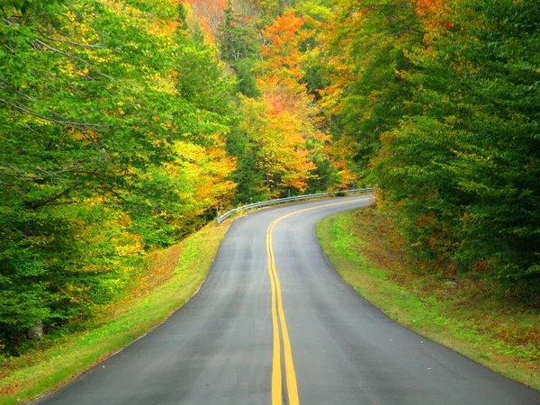 穿过美丽的五彩斑斓的秋天森林的公路 免版税图库照片