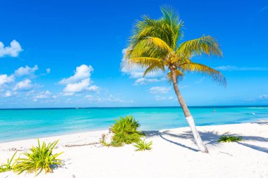 Meksika 'daki Cennet Sahili, Isla Mujeres Adası.