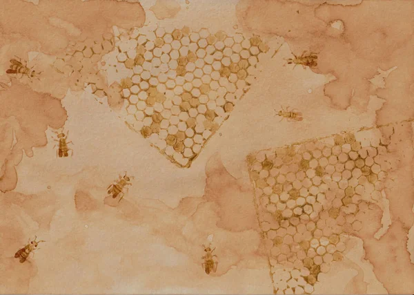 Coffee background with honeycombs and golden bees.