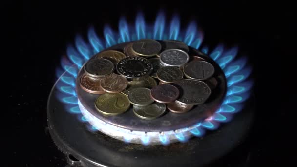 Monedas Diferentes Países Quemador Gas Símbolo Del Aumento Los Precios — Vídeo de stock