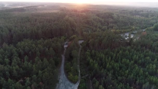 Flygbilder Flygning Över Barrskogen Vid Solnedgången — Stockvideo