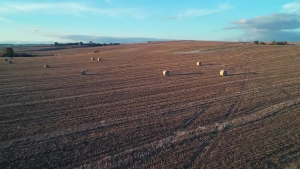 Voler Dessus Terrain Avec Beaucoup Rouleaux Foin Coucher Soleil — Video