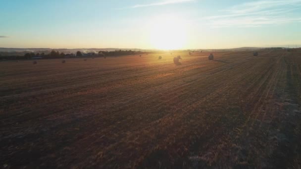 飞在田野上 带着大量的干草卷 — 图库视频影像