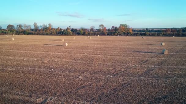 Vliegen Boven Het Veld Met Veel Hooi Broodjes Zonsondergang — Stockvideo