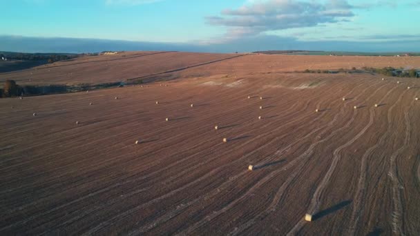 Vliegen Boven Het Veld Met Veel Hooi Broodjes Zonsondergang — Stockvideo