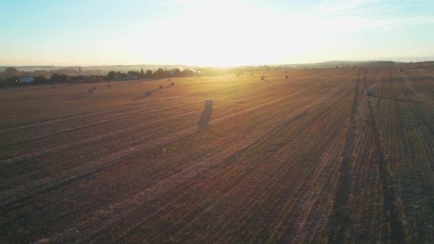 Volando Sobre Campo Con Montón Rollos Heno Puesta Sol — Vídeo de stock