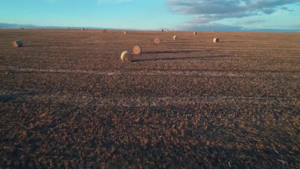 Volando Sobre Campo Con Montón Rollos Heno Puesta Sol — Vídeos de Stock