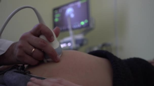 クリニックの妊婦医師は超音波スキャンで赤ちゃんの検査を行った — ストック動画