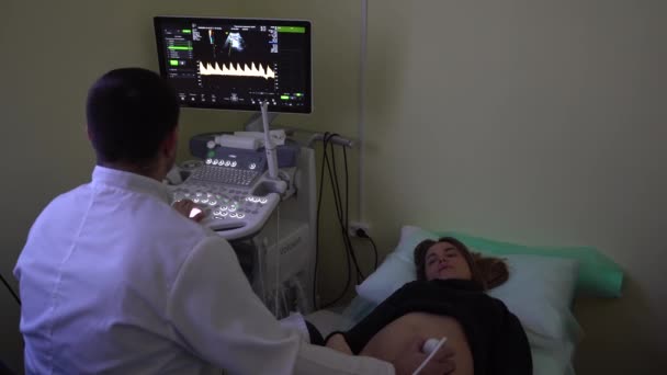 Femme Enceinte Clinique Médecin Fait Examen Bébé Échographie — Video