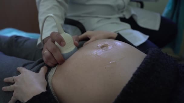 クリニックの妊婦医師は超音波スキャンで赤ちゃんの検査を行った — ストック動画