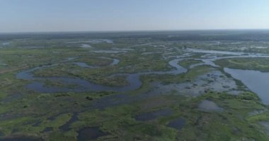 Havadan görünüm. Vahşi doğa. Drone nehir, göller ve bataklık üzerinde uçar. 4k