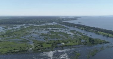 Havadan görünüm. Vahşi doğa. Drone nehir, göller ve bataklık üzerinde uçar. 4k