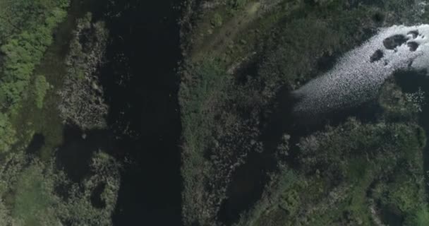 Luchtfoto Wilde Natuur Drone Vliegt Rivier Meren Moeras — Stockvideo