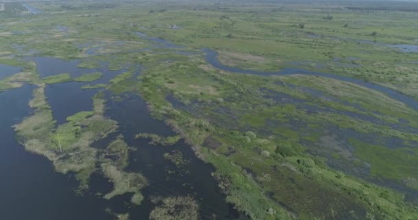 Luchtfoto Wilde Natuur Drone Vliegt Rivier Meren Moeras — Stockvideo