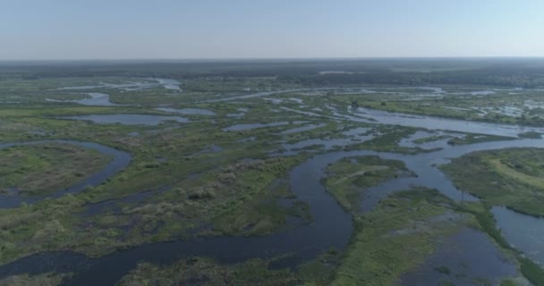 Luchtfoto Wilde Natuur Drone Vliegt Rivier Meren Moeras — Stockvideo