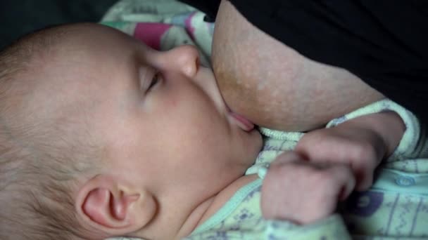 Breast Feeding Closeup Young Mother Feeding Her Baby Boy Child — Stock Video