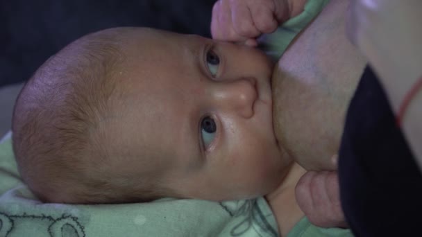 Alimentação Mamária Encerramento Jovem Mãe Alimentando Filho Menino — Vídeo de Stock