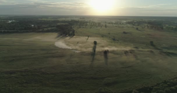 航空写真 朝霧太陽は霧の風景の上に昇る — ストック動画
