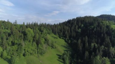 Hava drone görünümü. Karpat Dağları üzerinde uçuş. 4k.
