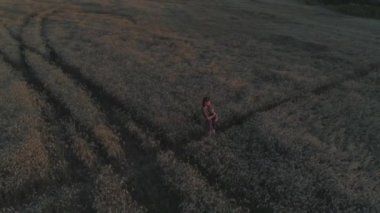 Hava videosu. Buğday tarlasında yeni doğmuş bebeği olan genç bir anne. Gün batımı. 4K.