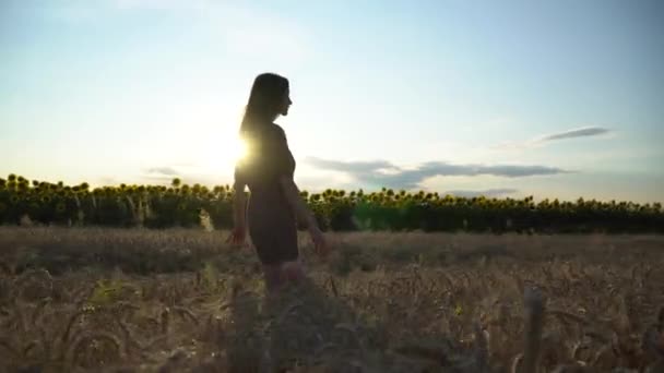 Jong Meisje Wandelen Door Rijpe Tarwe Veld Zonsondergang Gimbal Schot — Stockvideo