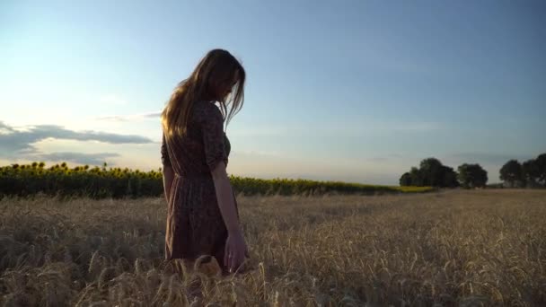 Junges Mädchen Das Durch Reifes Weizenfeld Geht Sonnenuntergang Schuss — Stockvideo