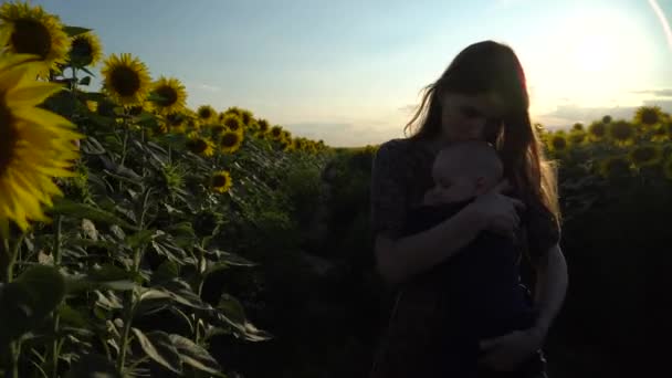 Junge Mutter Geht Mit Neugeborenem Sonnenblumenfeld Entlang Schuss — Stockvideo