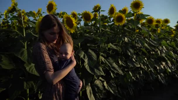Junge Mutter Mit Neugeborenem Der Nähe Des Feldes Mit Sonnenblumen — Stockvideo