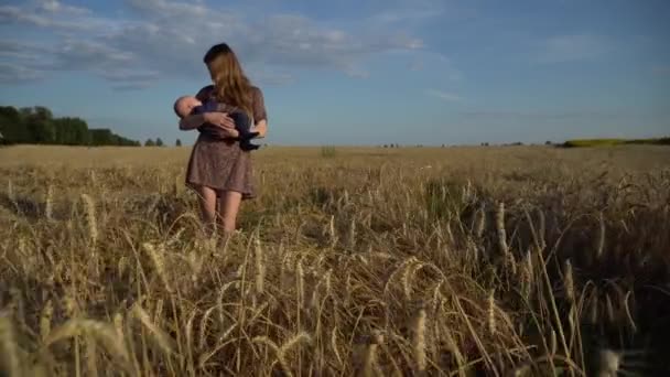 Madre Joven Con Recién Nacido Campo Del Trigo Puestas Sol — Vídeos de Stock