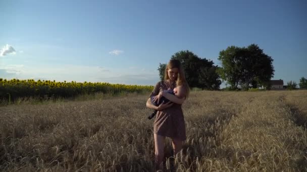 Молодая Мать Новорожденным Ребенком Пшеничном Поле Закат Гимбальный Выстрел — стоковое видео