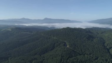 Havadan görünüm. Sis le kaplı dağ ormanı. 4k