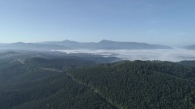 Havadan görünüm. Sis le kaplı dağ ormanı. 4k