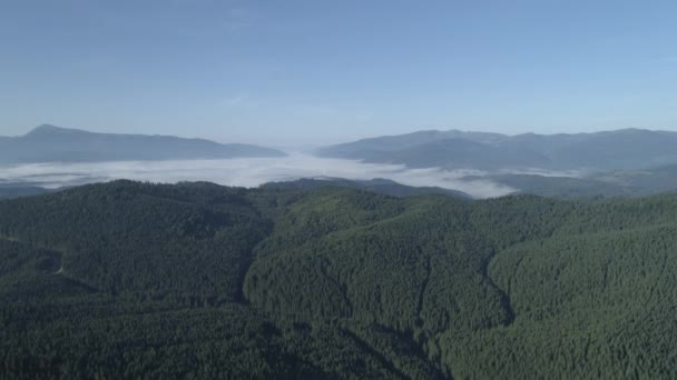 航空写真 霧が山林を覆った — ストック動画