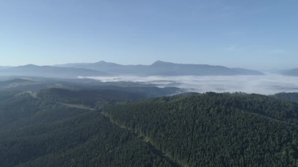 航空写真 霧が山林を覆った — ストック動画