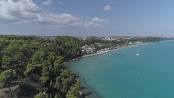 空中だ岩の上の木と海岸線 ギリシャのカリテアのビーチの隣 — ストック動画