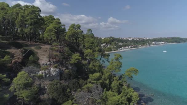 Aérea Línea Costera Con Árboles Sobre Rocas Junto Una Playa — Vídeos de Stock