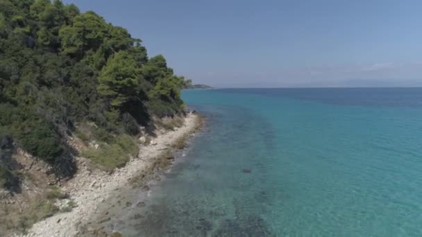 Kıyı Şeridinin Kayalıklardaki Ağaçların Havadan Görünüşü Kassandra Halkidiki Yunanistan — Stok video