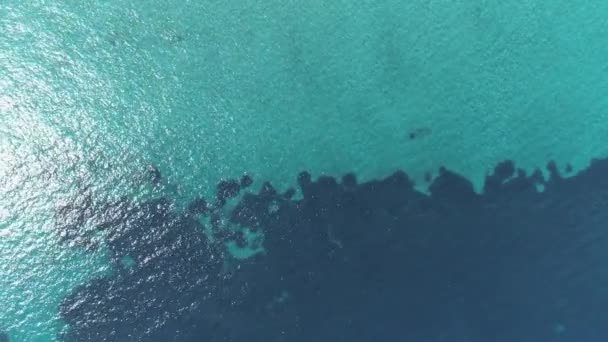 Αεροφωτογραφία Από Πάνω Προς Κάτω Ηρεμία Καθαρό Γαλάζιο Φόντο Θαλασσινό — Αρχείο Βίντεο