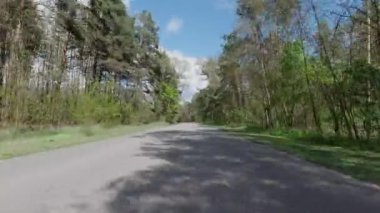 Bakış açısı. Resimli orman yolunda giden araba.