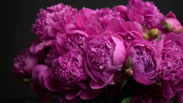 Close Beautiful Bouquet Blooming Pink Peony Flowers White Background Dolly — Stock Video