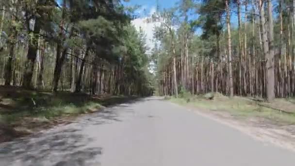 Pov Auto Projíždějící Malebnou Lesní Cestou — Stock video