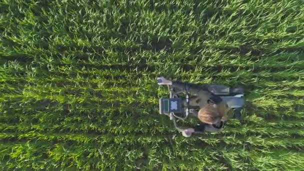 Luchtfoto Groene Fitness Een Jonge Vrouw Traint Een Stepper Een — Stockvideo