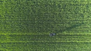 Hava görüntüsü. Yeşil fitness. Genç bir kadın yeşil alanda stepper üzerinde çalışıyor..