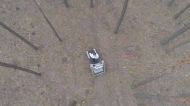 Hava görüntüsü. Genç bayan sporcu ormanda koşu bandında koşuyor..