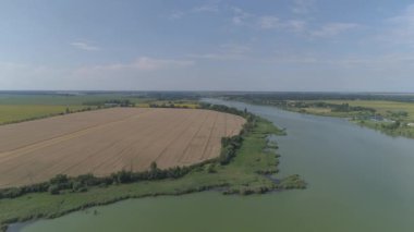Resimli buğday tarlası. Hava görünümü